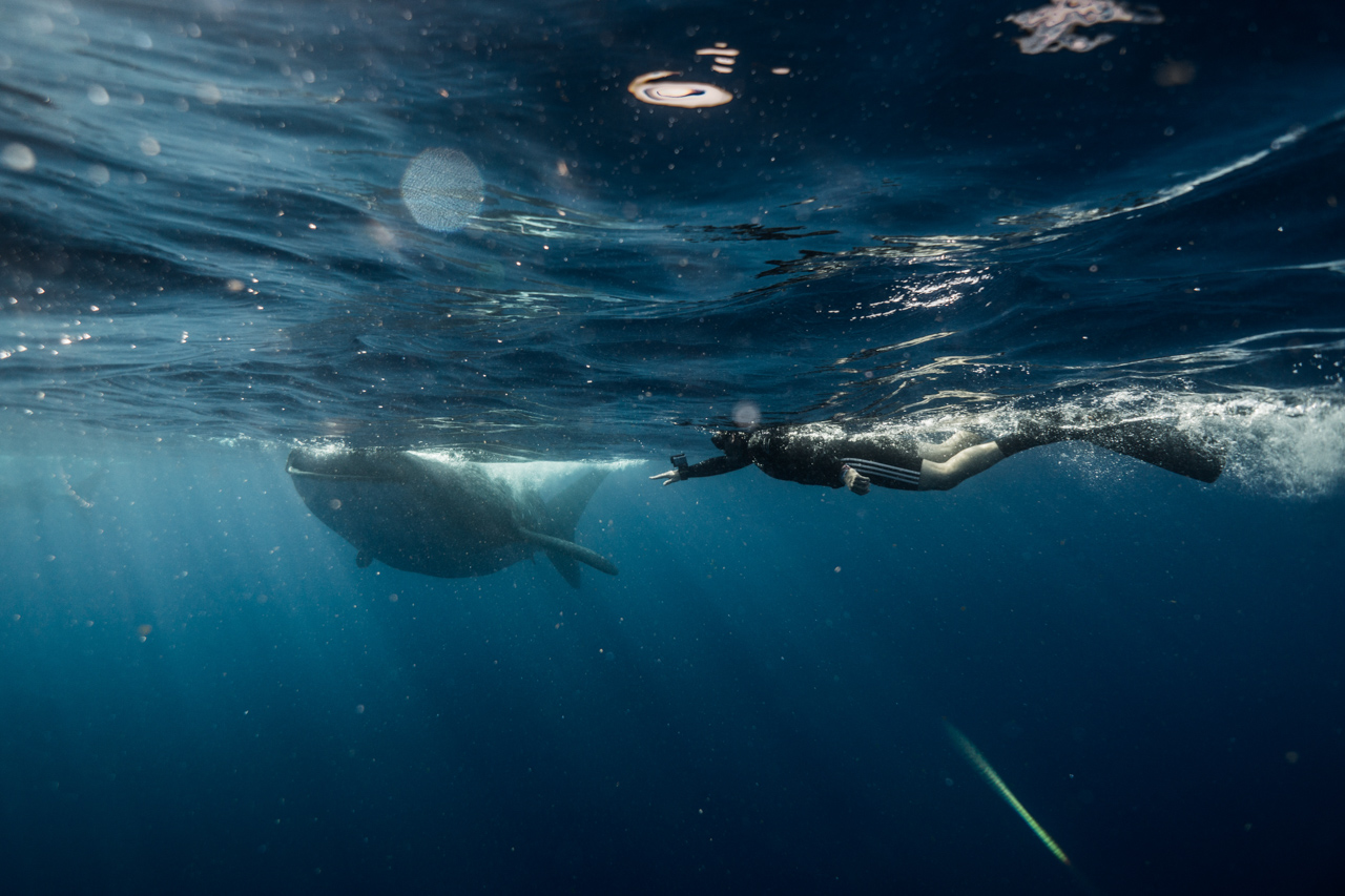 mejor buceo de latinoamerica